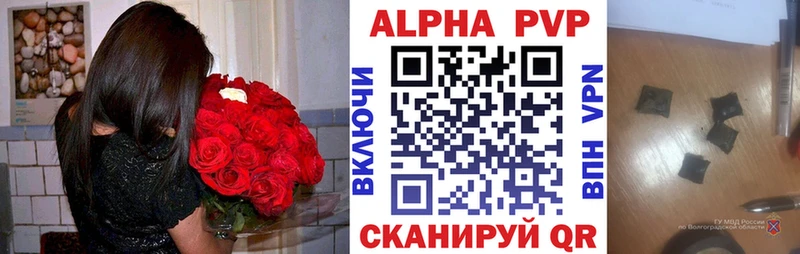 A PVP СК Зерноград