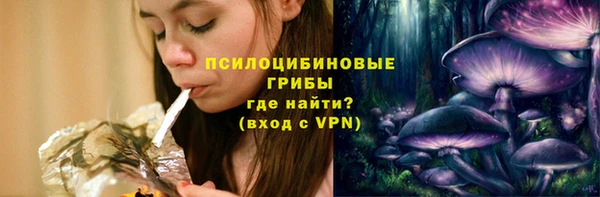 дурь Нягань