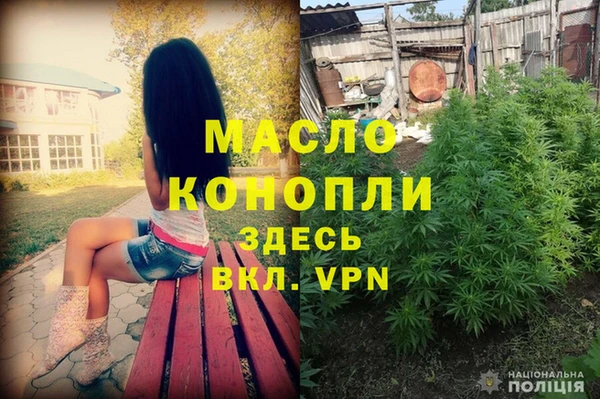 мдпв Няндома