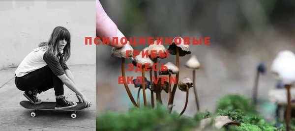 мдпв Няндома