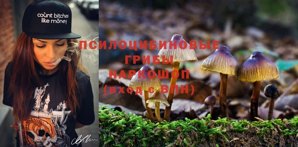 спайс Новодвинск