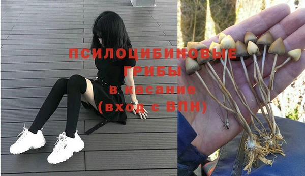 мдпв Няндома