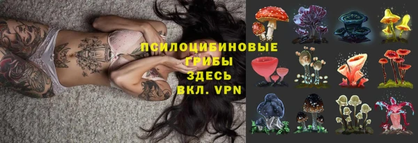 мдпв Няндома