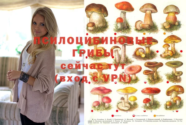 марки lsd Нязепетровск