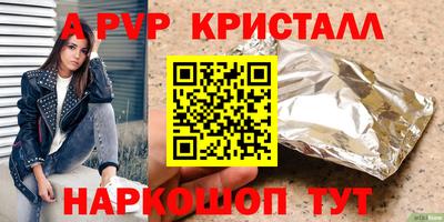 спиды Гай