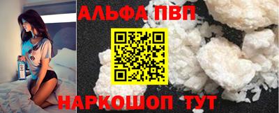 спиды Гай