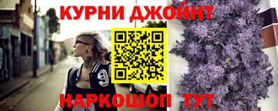 спиды Гай