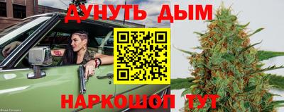 МДПВ Гагарин