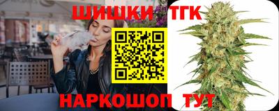 спиды Гай