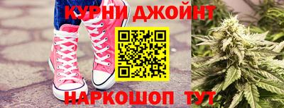 гашик Бузулук