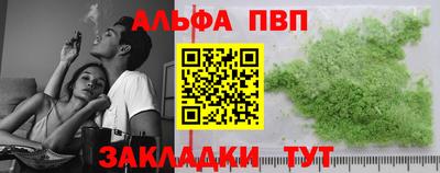 спиды Гай