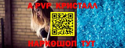 спиды Гай