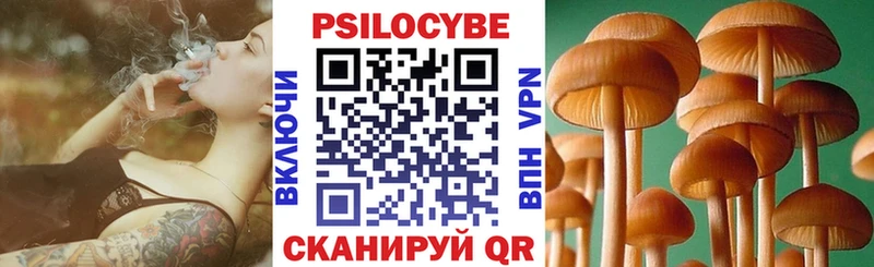 даркнет сайт  площадка Telegram  Галлюциногенные грибы Magic Shrooms  Зерноград 