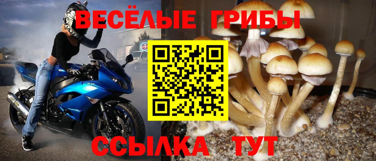 Псилоцибиновые грибы мицелий  Вход с VPN  дарнет шоп  Зерноград 