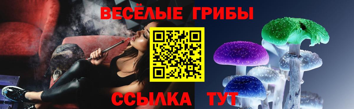 Псилоцибиновые грибы Cubensis  Зерноград  Псилоцибиновые грибы GOLDEN TEACHER 